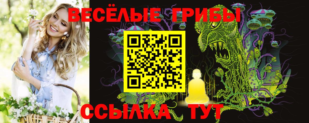 наркошоп  Еманжелинск  Галлюциногенные грибы Psilocybe  Псилоцибиновые грибы GOLDEN TEACHER 