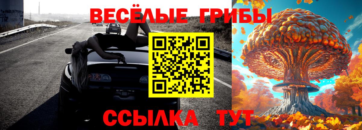 Галлюциногенные грибы Psilocybe Еманжелинск